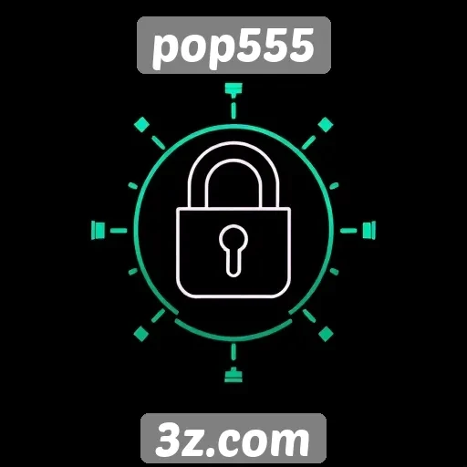 Segurança e privacidade dos usuários no pop555